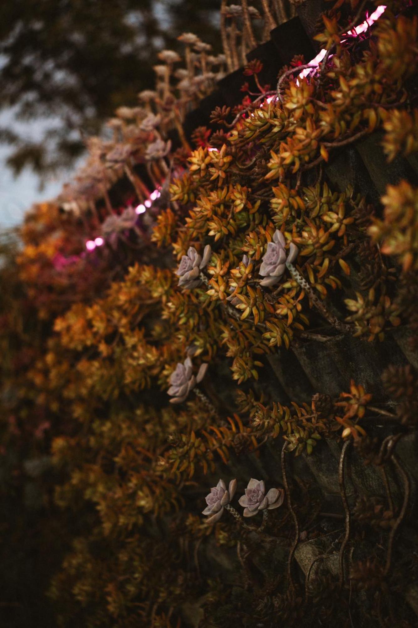 La Finca De Vane 장크트 고아르스하우젠 외부 사진